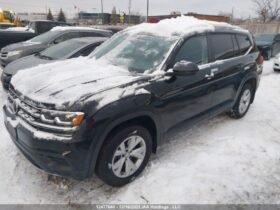 Volkswagen Atlas Trendline 2019 SUV
